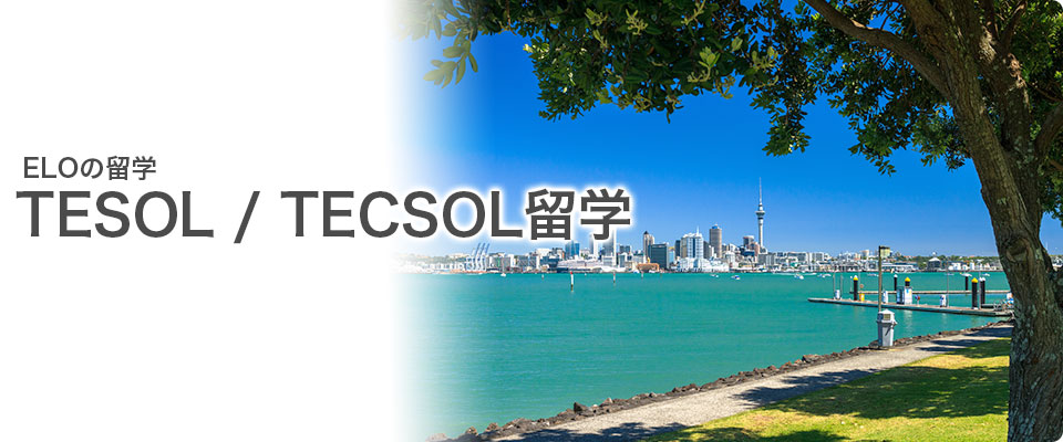 header-overseas-program-TESOL-TECSOL